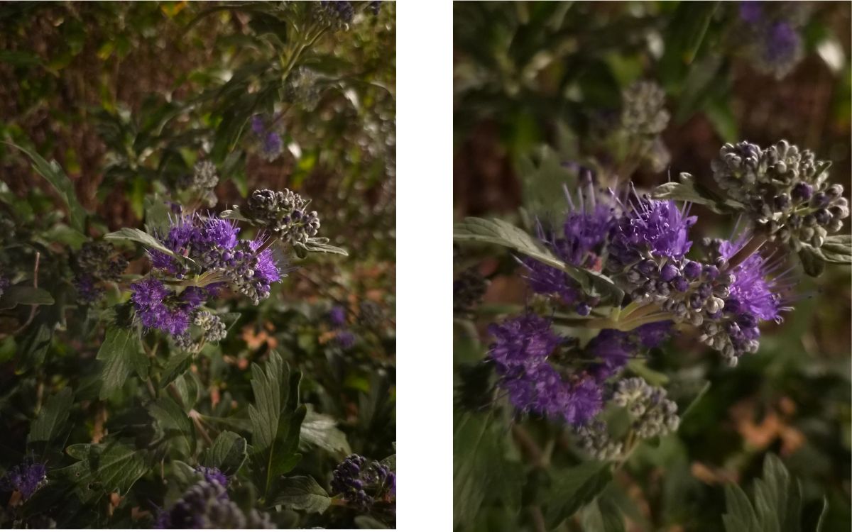 Test Samsung Galaxy Z Flip8 capteur grand angle zoom 1x et 2x sans mode Nuit
