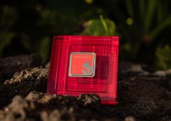 qualcomm snapdragon 8 elite gen 6