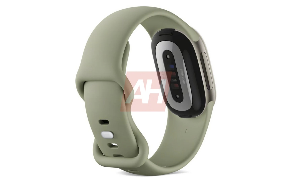 Google Fitbit Edge dos