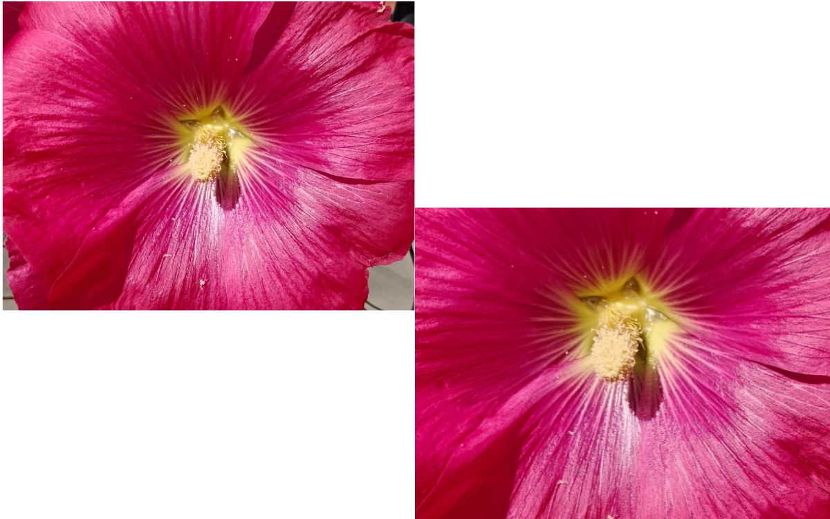 Test Oppo Find X10 Macro zoom 2x VS 2,8x (2)
