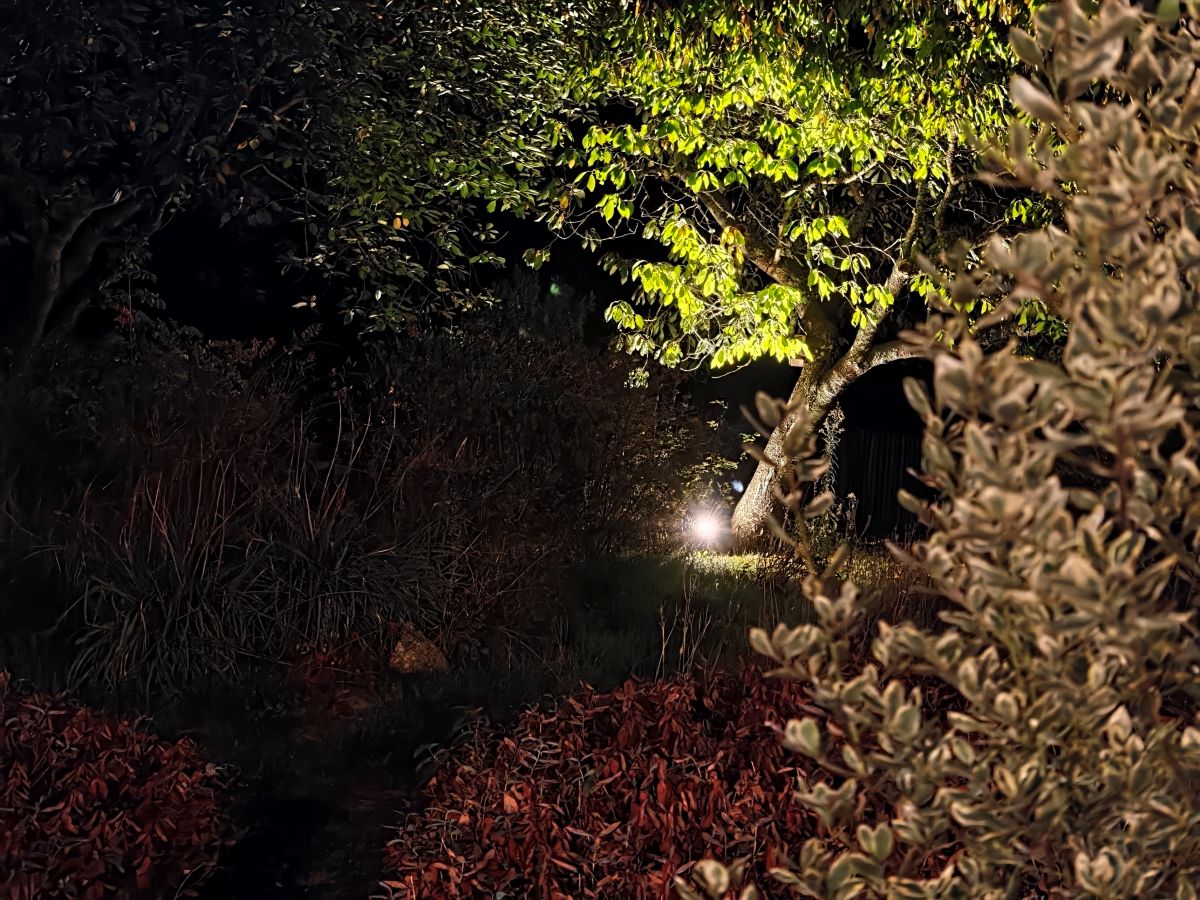 Test Oppo Find X10 téléobjectif zoom 2,8x sans mode nuit