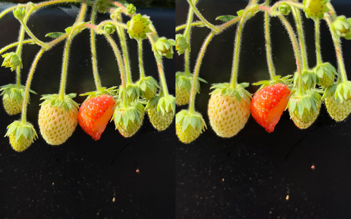apple iphone 18 pro test