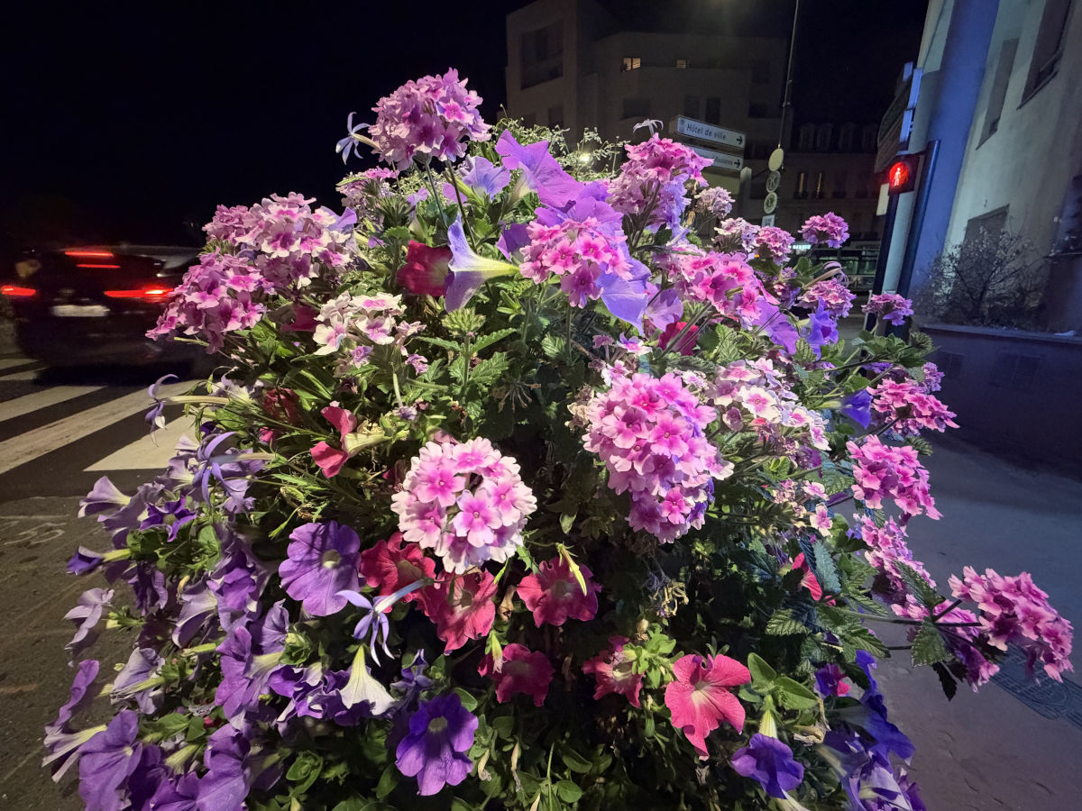 apple iphone 18 pro test